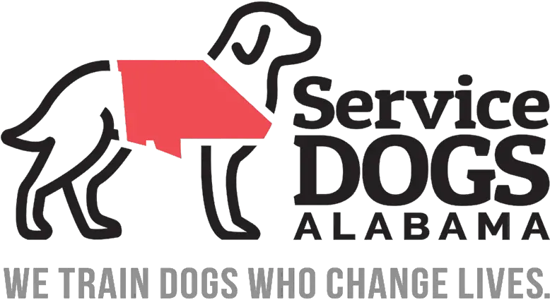 Service Dogs Alabama Dog Catches Something Png Dogs Png