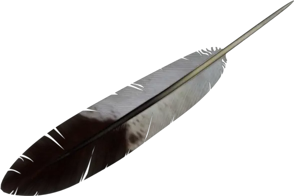 Feather Png Transparent Background Indian Feather Png Feather Png