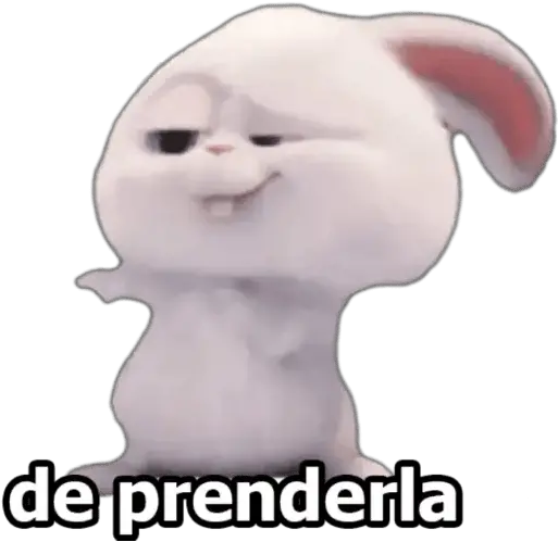 Snowball Stickers De Conejos Whatsapp Png Snowball Png