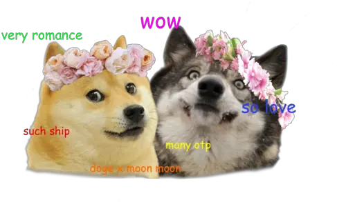 Httpmediatumblrcom376d5084ac99ebac6a25637d27c74f62 Moon Moon And Doge Png Doge Png