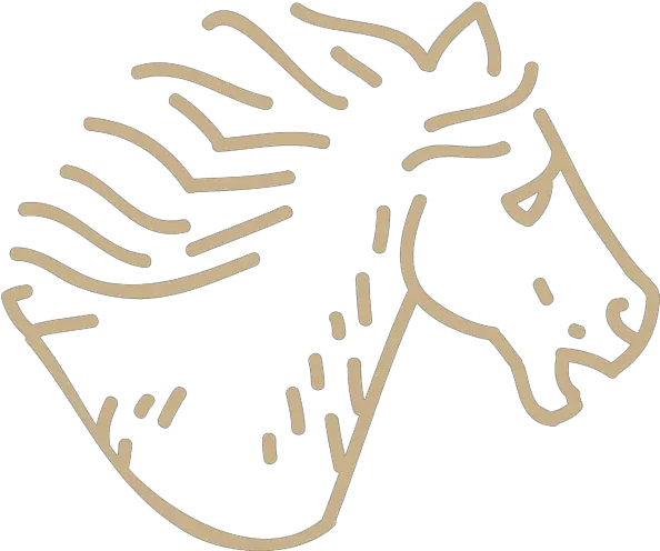 Native Sons Coffee Roasters Dot Png Horse Head Icon