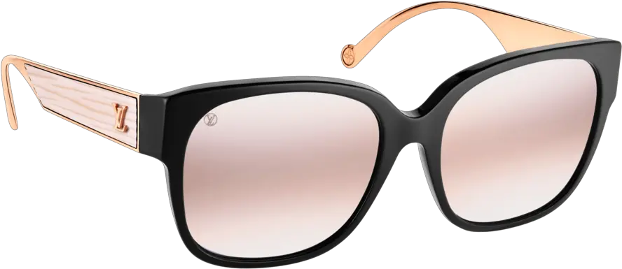 Beautyeq Gucci Png Aviators Png