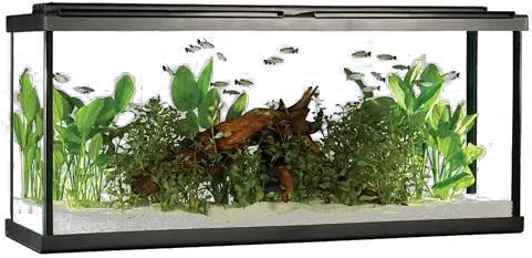 Aquarium Fish Tank Png Image Hd All Fluval 55 Gallon Aquarium Kit Fish Tank Png