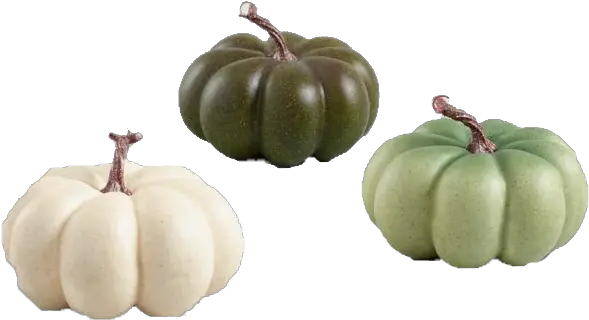 Download Medium Ivory And Green Faux Heiloom Pumpkins Set Of Gourd Png Pumpkins Transparent