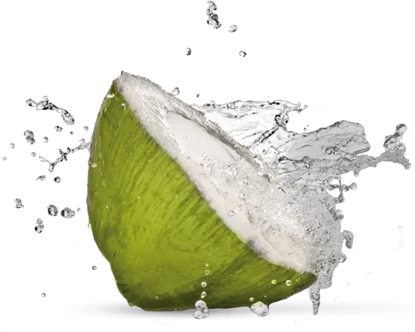 Fresh Coconut Png 1 Image Fresh Coconut Water Png Coconut Png