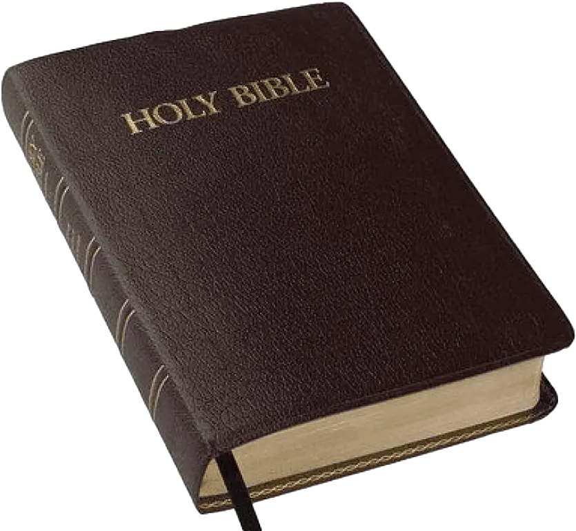 Download Holy Bible Png Clip Royalty Transparent Background Bible Png Bible Transparent Background