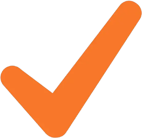 Features Empowering Confident Youth Png Orange Check Mark Icon