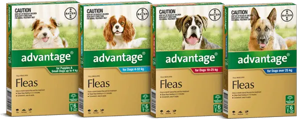 Advantage For Dogs Puppies Advantage Flea Treatment For Dogs Png Puppies Png