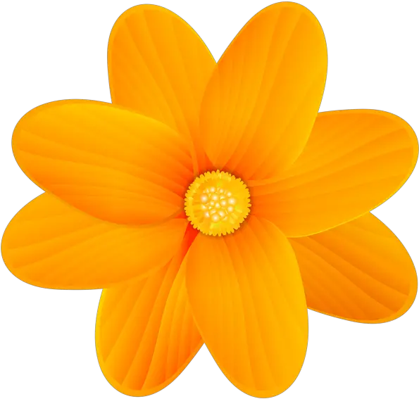 Flower Yellow Clip Art Desenho De Flor De Laranjeira Png Orange Flower Png