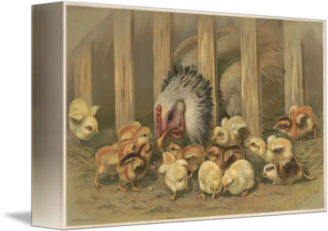 Vintage Chicken Baby Chicks Painting By Alleycatshirts Zazzle Picture Frame Png Baby Chick Png