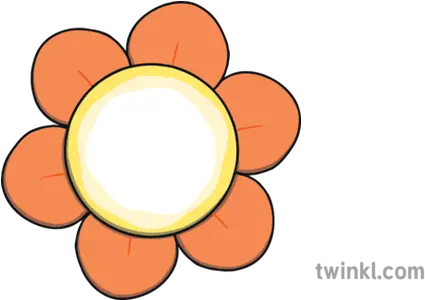 Orange Flowers Illustration Fraternal Order Of Police Png Orange Flowers Png