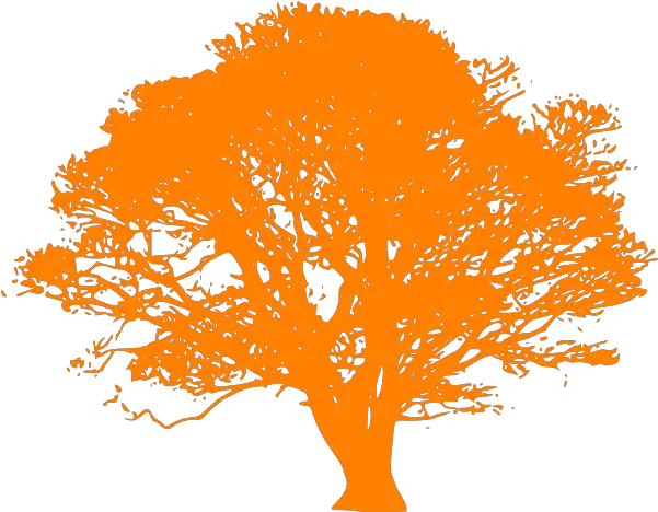Orange Tree Png Download Free Clip Art Tree Black And White Vector Orange Tree Png