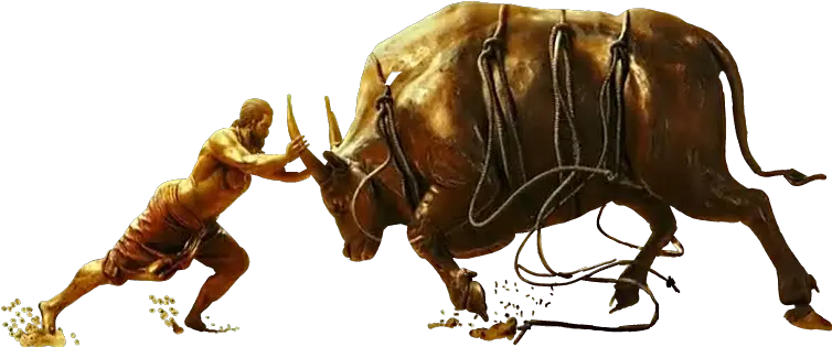 Download Hd 3 Water Buffalo Transparent Png Image Bahubali Buffalo Png Buffalo Png