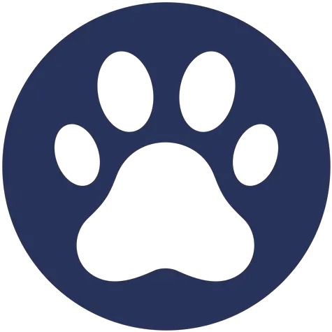 Stay Pawsitive Cut Out Transparent Png U0026 Svg Vector Fondos Para Llaveros Png Paw Print Icon Border