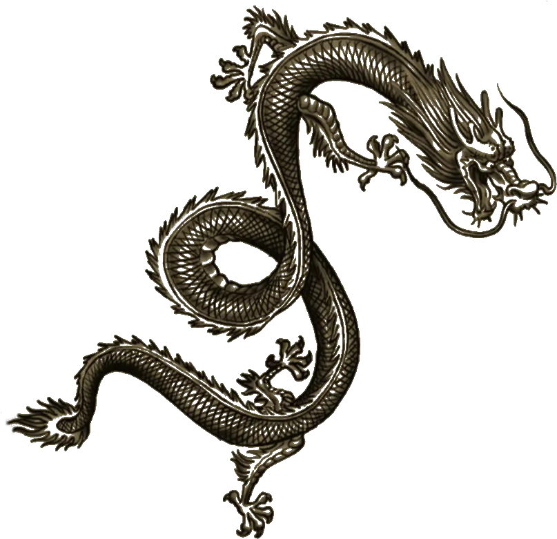 Wei Shen Tatt Dragon Tattoo Arm Chinese Dragon Tattoo Png Dragon Tattoo Png