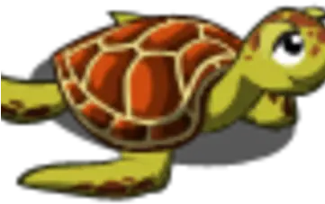 Green Sea Turtle Farmville Wiki Fandom Loggerhead Sea Turtle Png Sea Turtle Png