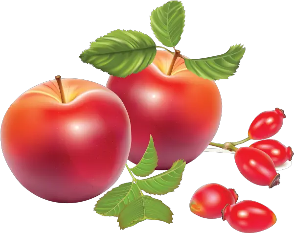 Apple Clipart Png Images Download Red Fruits Background Design Apple Clipart Png