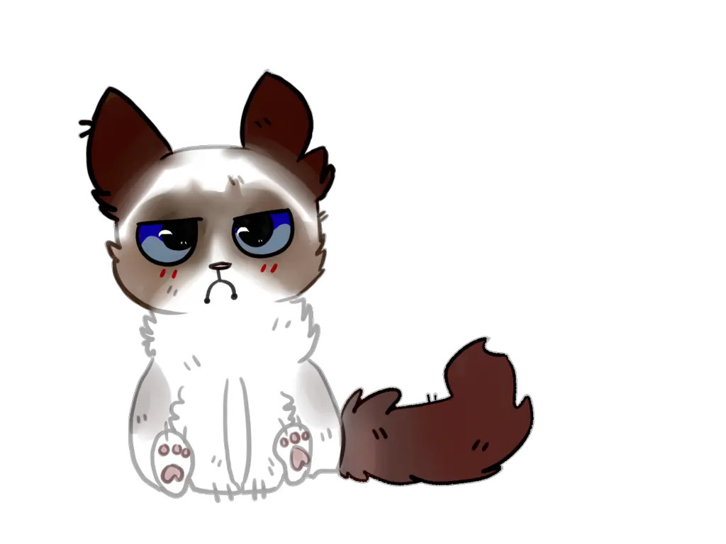 Grumpy Cat Png Image Mart Angry Cat Png Cartoon Cat Head Png