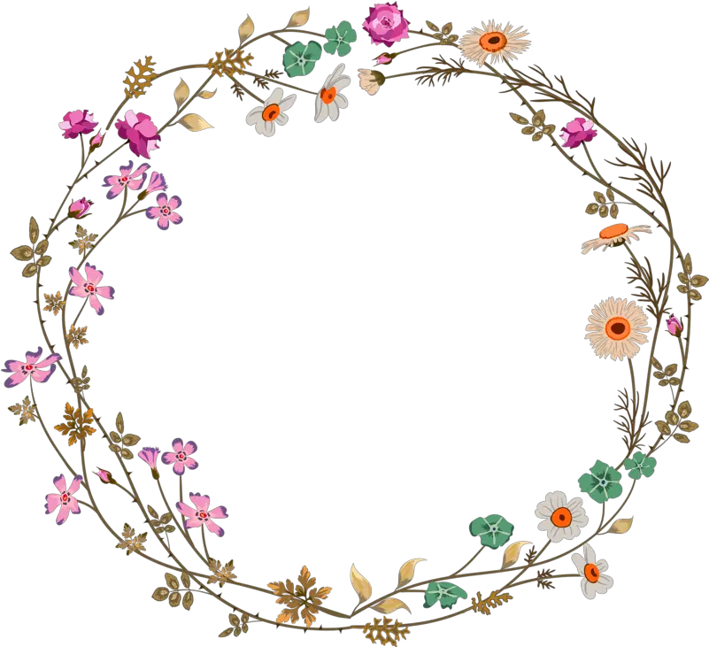 Flower Circle Border Png 1 Image Instagram Highlights Cover Circle Border Png