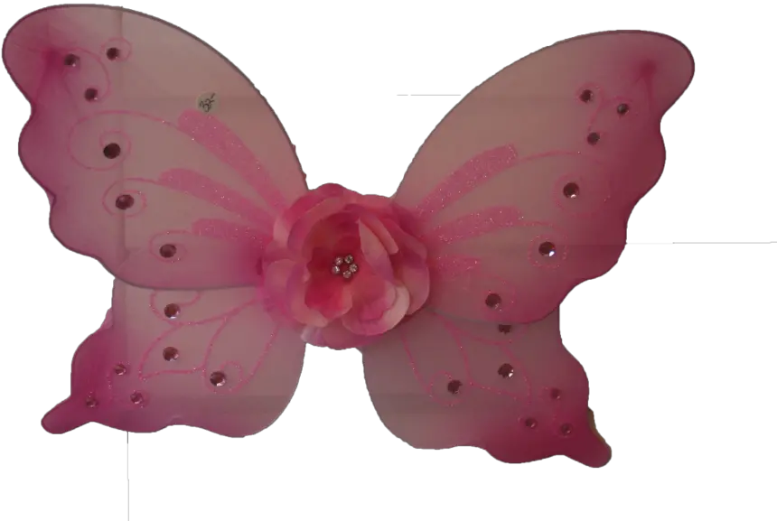 Kids Fairy Wings Butterfly Wings For Kids Png Butterfly Wings Png