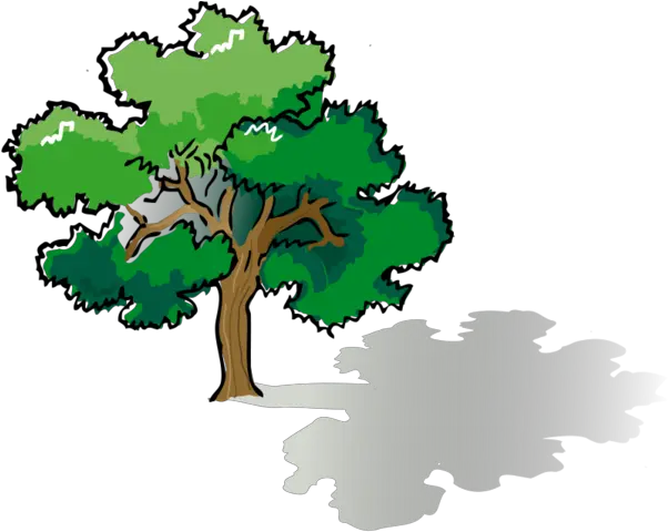 Colored Oak Tree Vector File For Free Tree Drawing Png Oak Tree Silhouette Png