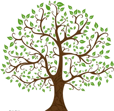 Familty Tree With Branches Png Free Clipart Finders Family Tree Tree Drawing Tree Branches Png