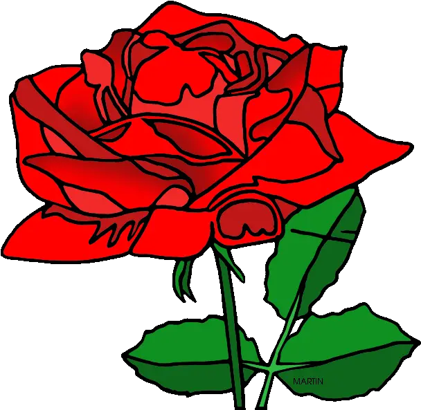 Red Rose Clipart American Beauty Phillip Martin Flower American Beauty Rose Clipart Png Rose Clipart Png