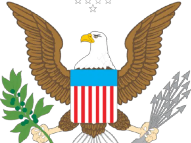 Bald Eagle Png Bald Eagle Clipart Transparent Bald Eagle Png