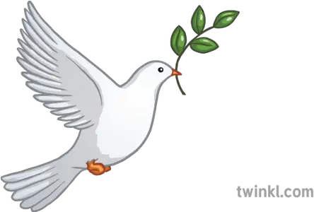 Dove Peace Emoji Twinkl Newsroom Ks2 1 Lovely Png Peace Emoji Png