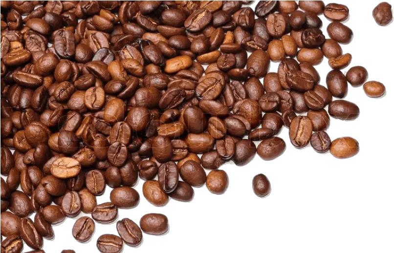 Coffee Beans Png Images Transparent Coffee Bean Transparent Background Coffee Beans Transparent