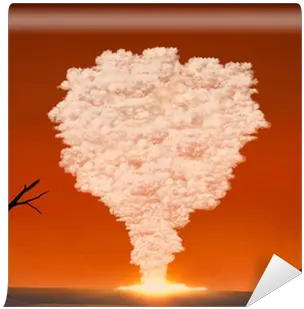 Mushroom Cloud From A Large Explosion In The Desert Wall Mural U2022 Pixers We Live To Change Illustration Png Mushroom Cloud Transparent