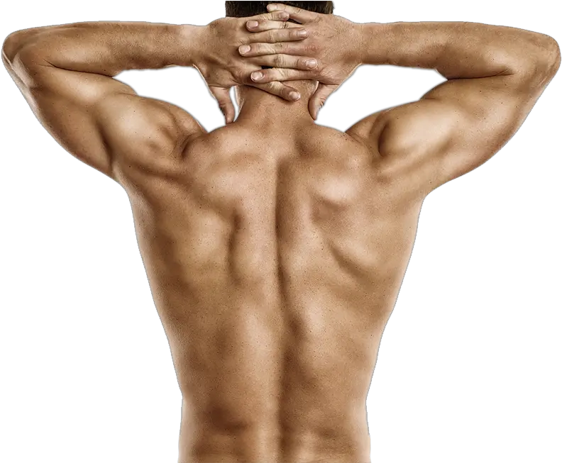 Muscle Man T Blustar Human Back Png Muscle Man Png