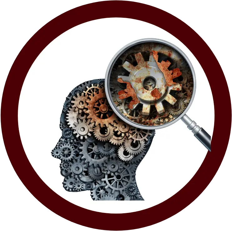 Activities And Clubs Austin High School Photographic Memory Png Brain Gears Icon Png