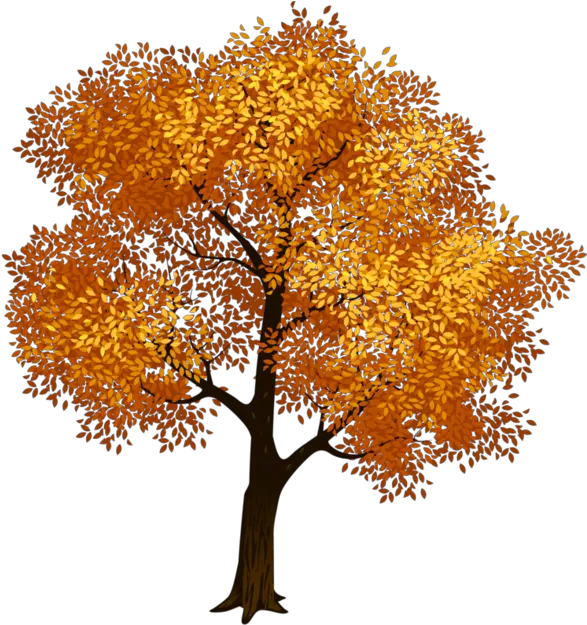 Clip Art Portable Network Graphics Fall Tree Image Tree Transparent Background Green Tree Clipart Png Fall Tree Png