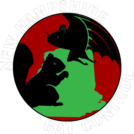 Nh Flying Squirrel Control New Hampshire Bat Illustration Png Squirrel Logo