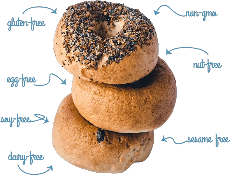 Welcome The Greater Knead Gluten Free Bagels Greater Knead Bagels Png Bagel Transparent
