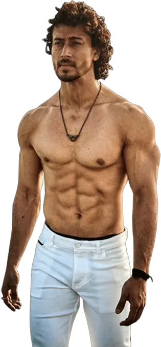 Tiger Shroff Png Hd Six Pack Photo Your Png Free Png Tiger Shroff Look Alike Six Pack Icon