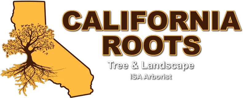 Landscaping Contractor In Modesto Ca California Roots Tree Vertical Png Tree With Roots Png