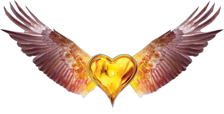 Heart With Wings Png Black Heart With Wings 5502406 Transparent Black Heart With Wings Heart With Wings Icon