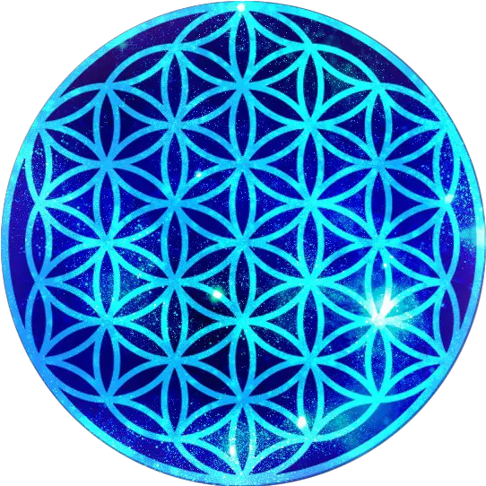 Life Golden Flower Of Life Logo Png Flower Of Life Png