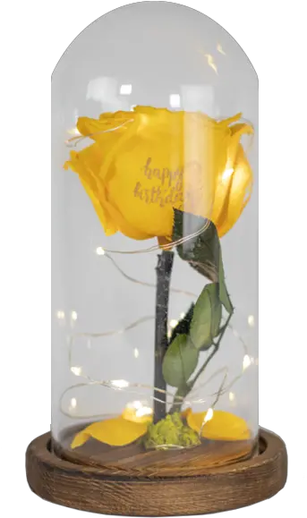 Dome Beauty And The Beast Yellow Rose Png Beauty And The Beast Rose Png