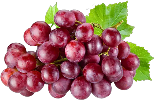 Red Grapes Png Grapes Red Red Grapes 991185 Vippng Fruits Of The Kingdom Grapes Transparent