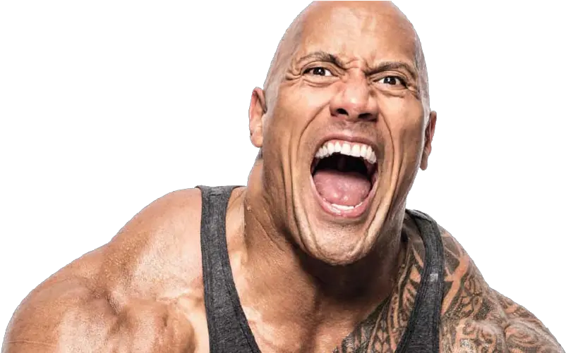 Download Dwayne The Rock Johnson Net Rock Wwe Png Dwayne Johnson Png