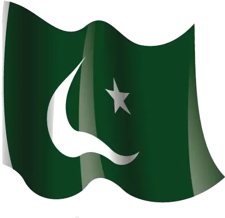 Download Hd Pakistan Flag Png Twitter For Mac Icon Transparent Pakistan Flag Png Twitter Icon Transparent