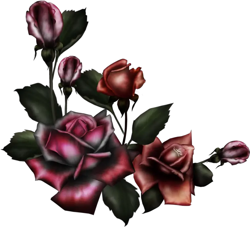 Gothic Rose Png 3 Image Gothic Rose Png Gothic Frame Png