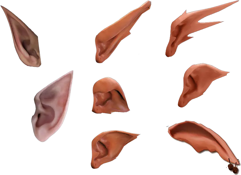 Elf Ear Png Elven Ears Png Elf Ears Png