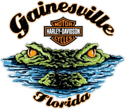 North Floridau0027s 1 Harley Dealer Gainesville Gainesville Florida Harley Davidson Png Harley Davidson Logo
