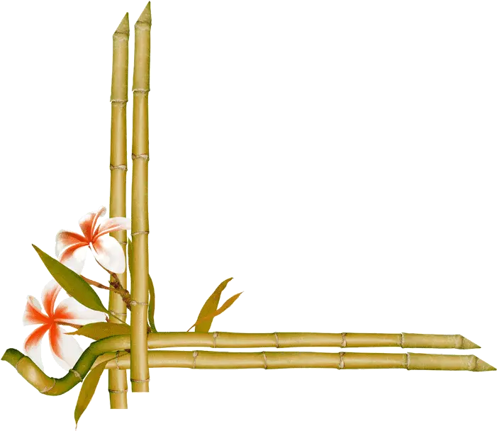 Bamboo Flower Frames And Borders Bamboo Border Png Bamboo Frame Png