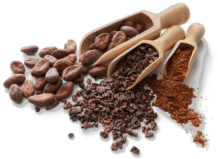 Cocoa Beans Png Hd Mart Cocoa Y Chocolate Png Seed Png