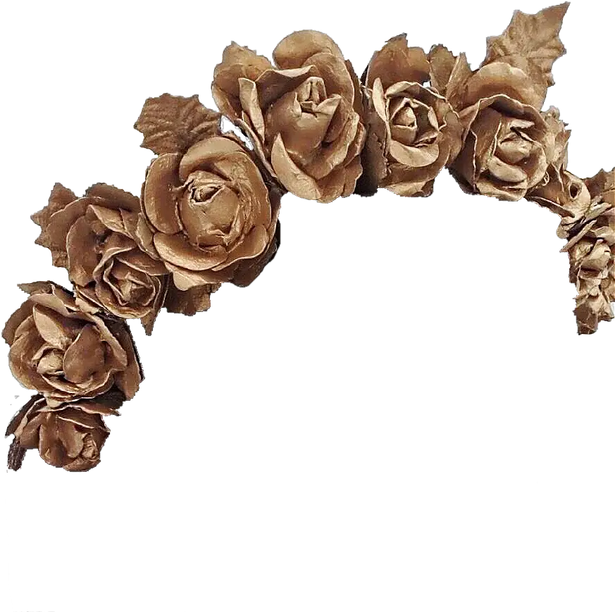 White Flower Crown Transparent Choice Brown Flower Crown Png Flower Crown Transparent